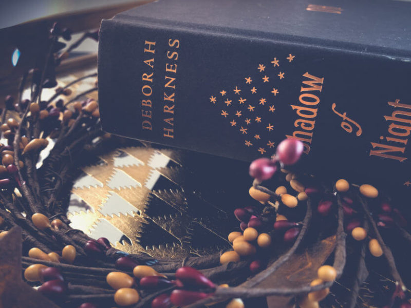 Seasonal autumn reads for people who don’t like horror