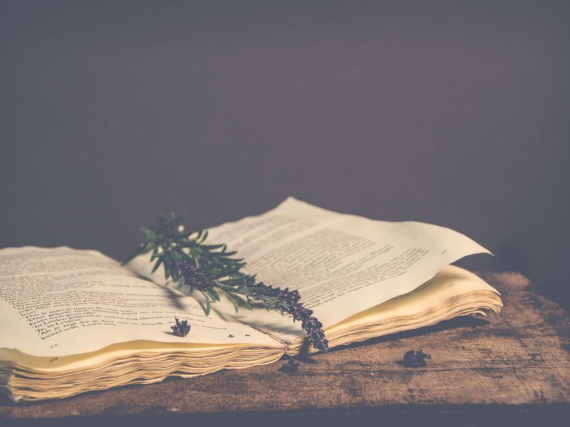 Quotes, Snippets, and Other Moments I Love (Part I) Quotes, Snippets, and Other Moments I Love (Part I)